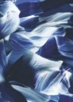 Plus Size Margaux Swim Top With Midi Swim Skort -Calypsa Sales 2020 prints navy wave swatches 100000050355 modli cropped 572 0 2082 2098 1