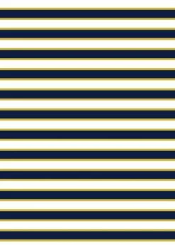 The Flow Kit 26 The Flow Kit -Calypsa Sales sunshine sail 02 100000040322 modli cropped 222 315 1276 1793 2