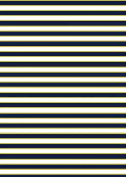 Plus Size Maya Swim Top With Removable Cups With Long Swim Leggings 21 Plus Size Maya Swim Top With Removable Cups With Long Swim Leggings -Calypsa Sales sunshine sail 02 100000040322 1 2